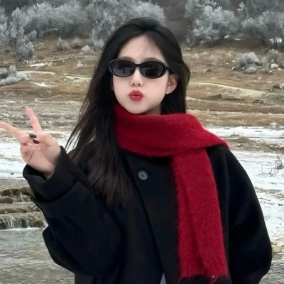 廉政追缉令 粤语